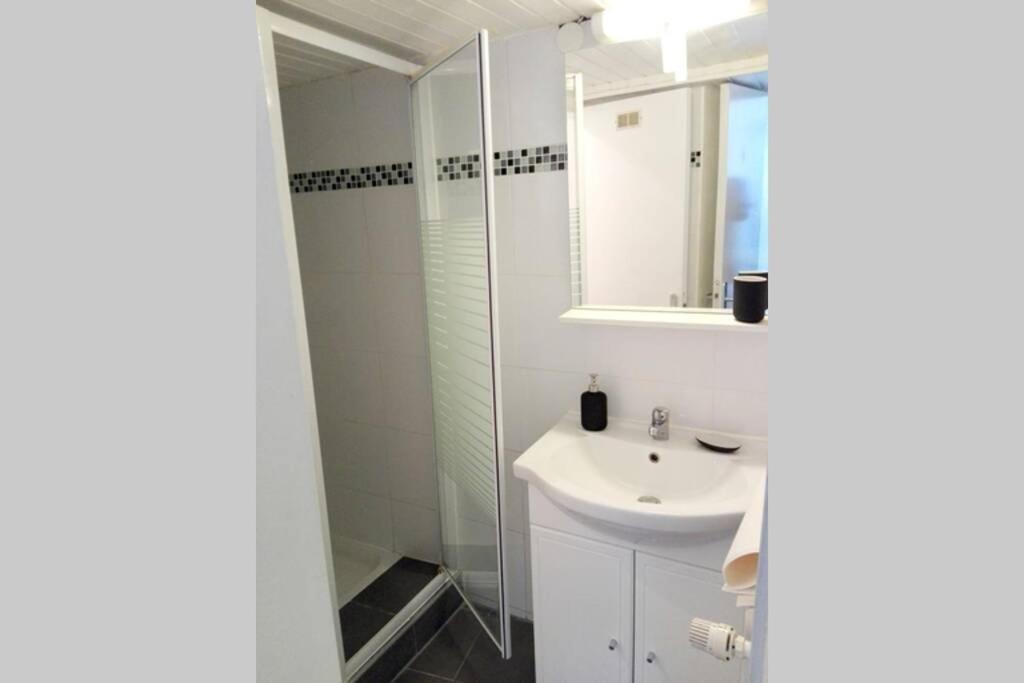 Appartement Cosy Rue Sainte Madeleine Strasbourg Bagian luar foto